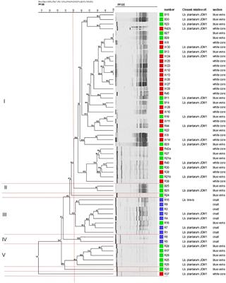 Diversity of Lactobacillus Species of Stilton Cheese Relates to Site of Isolation